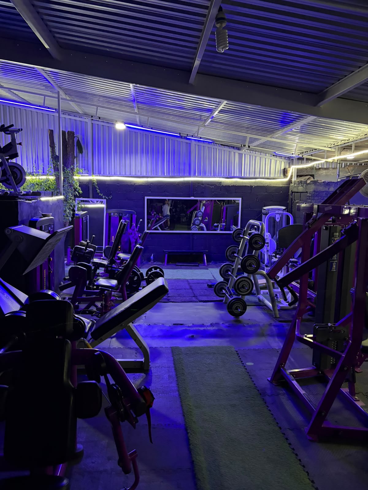 Interior de GYM GOKI de noche: máquinas de fuerza, rack de mancuernas y bicicletas bajo iluminación LED violeta y azul